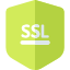 SSL icon